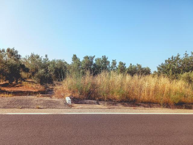 FINCA RUSTICA EN VENTA EN ULLDECONA (TARRAGONA) photo 0