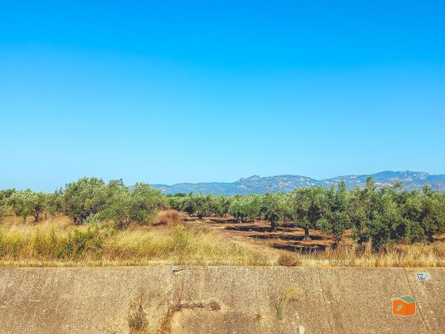 FINCA RUSTICA EN VENTA EN ULLDECONA (TARRAGONA) photo 0