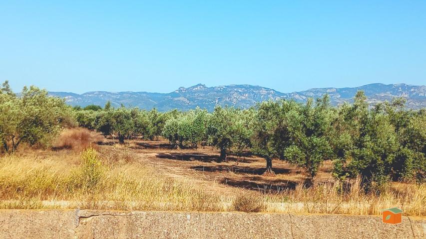 FINCA RUSTICA EN VENTA EN LA GALERA (TARRAGONA) photo 0