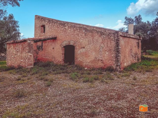 FINCA RUSTICA CON CASA EN VENTA EN SANTA BARBARA (TARRAGONA) photo 0