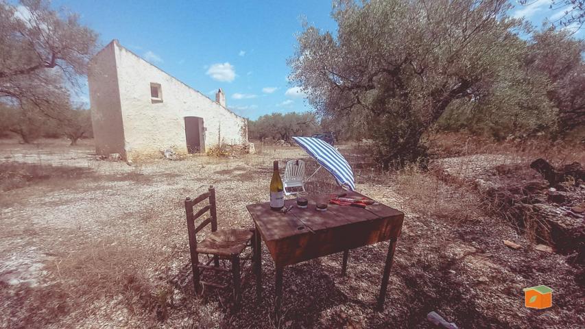 FINCA RUSTICA CON CASETA EN VENTA EN ULLDECONA (TARRAGONA) photo 0