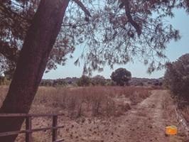 CASA RUSTICA CON TERRENO EN VENTA EN MASDENVERGE (TARRAGONA) photo 0