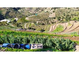 Terreno en venta Torrox costa con 3000 m2 para hacer apero de 24 m2 photo 0