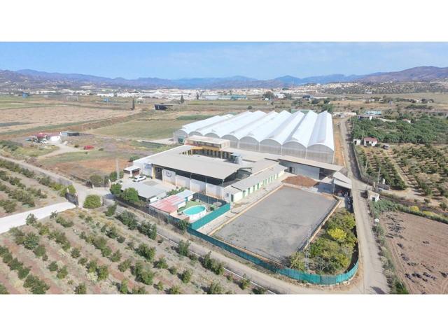 Centro Hipico en venta Torre del mar photo 0