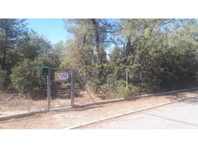 OCASIÓN PARCELAS DESDE 22.000 EUROS EN MARUGAN (SEGOVIA) photo 0