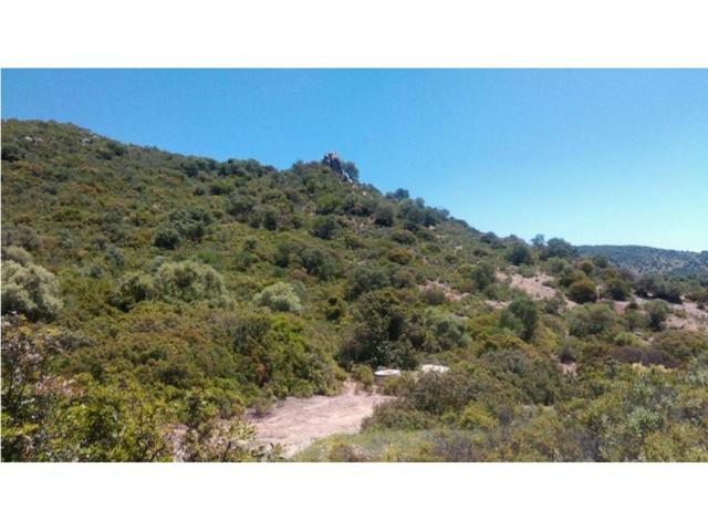 GRANDIOSA PARCELA DE TERRENO EN MORON DE LA FRONTERA photo 0