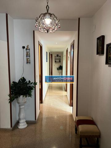 PISO CAROLINAS ALTAS ALICANTE photo 0