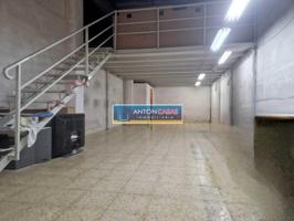 LOCAL NOVELDA photo 0
