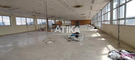 OFICINA SOBRE 500M2 EN ALQUILER photo 0
