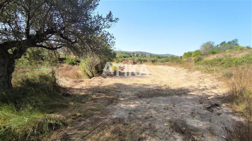 Terreno Urbanizable En venta en Agullent, Agullent photo 0