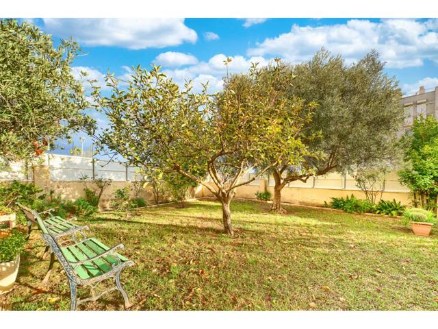 BAJO EXCLUSIVO JUNTO AL MAR EN CUNIT CON TERRAZA DE 250 m² photo 0