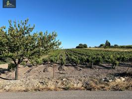 NUEVO TERRENO EN VENTA EN TREBUJENA photo 0