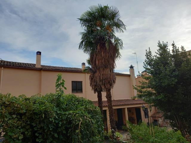 CHALET INDIVIDUAL EN CENTRO ZAMORA O NUEVA CONSTRUCCIÓN photo 0