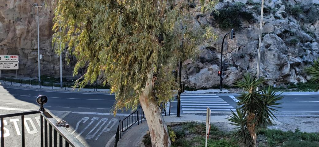 PISO JUNTO AL MAR  CHOLLO EN CALAHONDA . photo 0