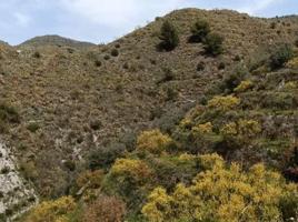 ***SE VENDE PRECIOSO FINCA RÚSTICA EN VIADUCTO DE RÍO JATE*** photo 0