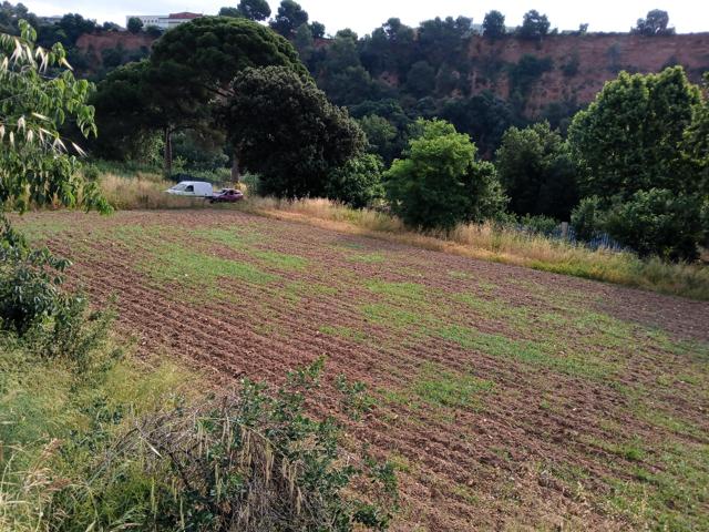 FINCA RÚSTICA AGRARIA photo 0