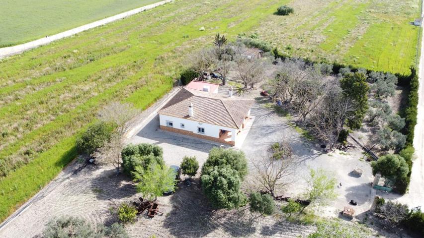 PARCELA ZONA LOS RASILLOS photo 0