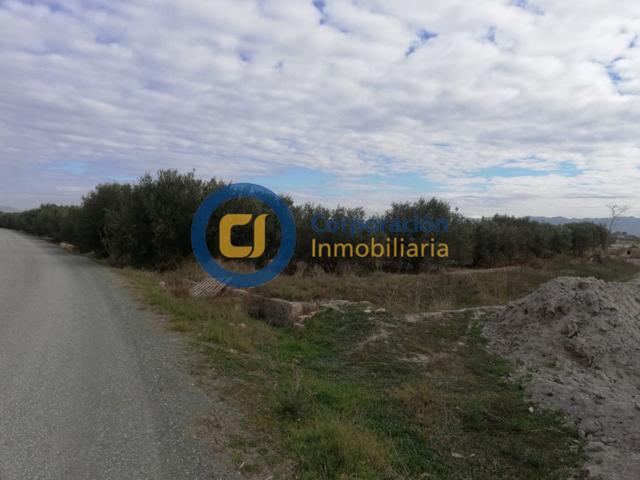 ESTUPENDA PARCELA EN EL ESPARRAGAL PARA CONSTRUCCION DE VIVIENDA photo 0
