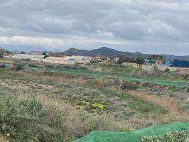 ESTUPENDA PARCELA CON NAVE EN TERCIA photo 0