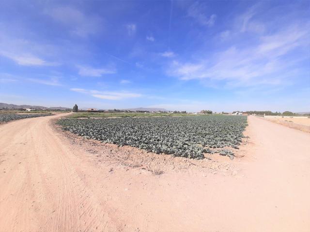 Parcela para construcción de vivienda unifamilia a 5 minutos de Lorca en zona de El Campillo photo 0