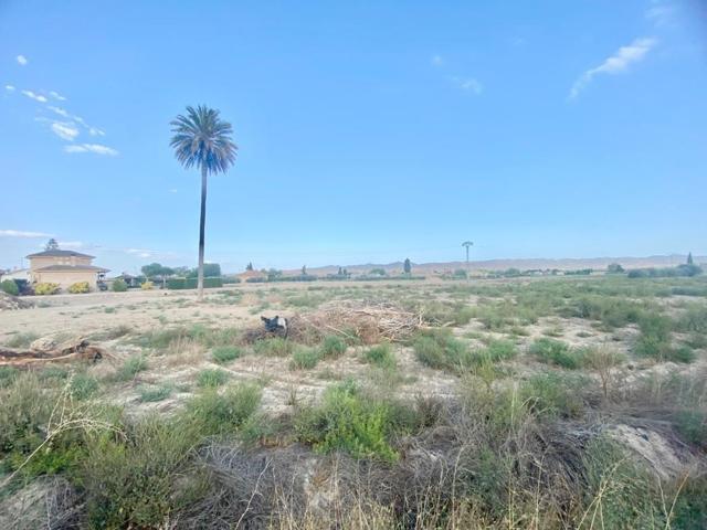 Parcela muy próxima a Lorca ideal para construcción de vivienda unifamiliar en Cazalla photo 0