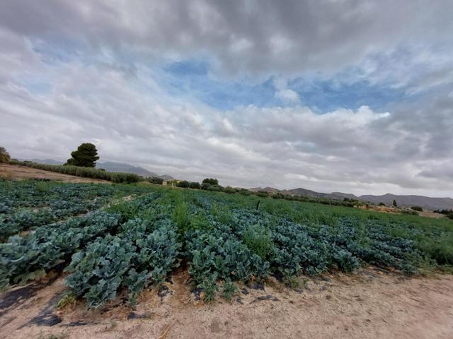 Parcela en Marchena photo 0