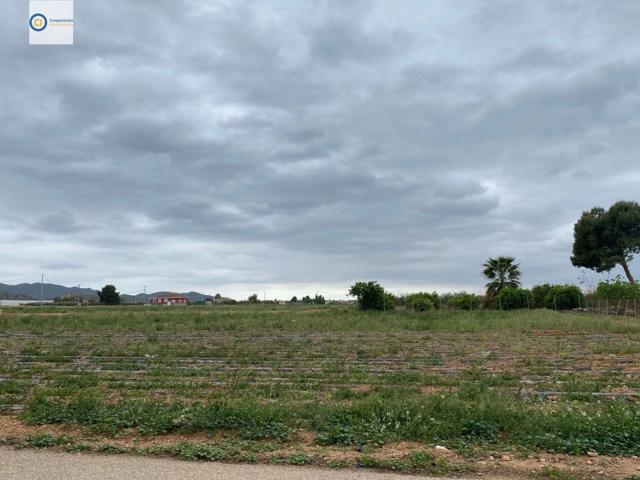 Parcela cuadrada photo 0