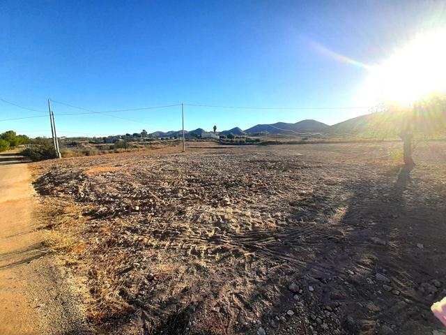 Parcela con proyecto y licencia de obra en Purias photo 0