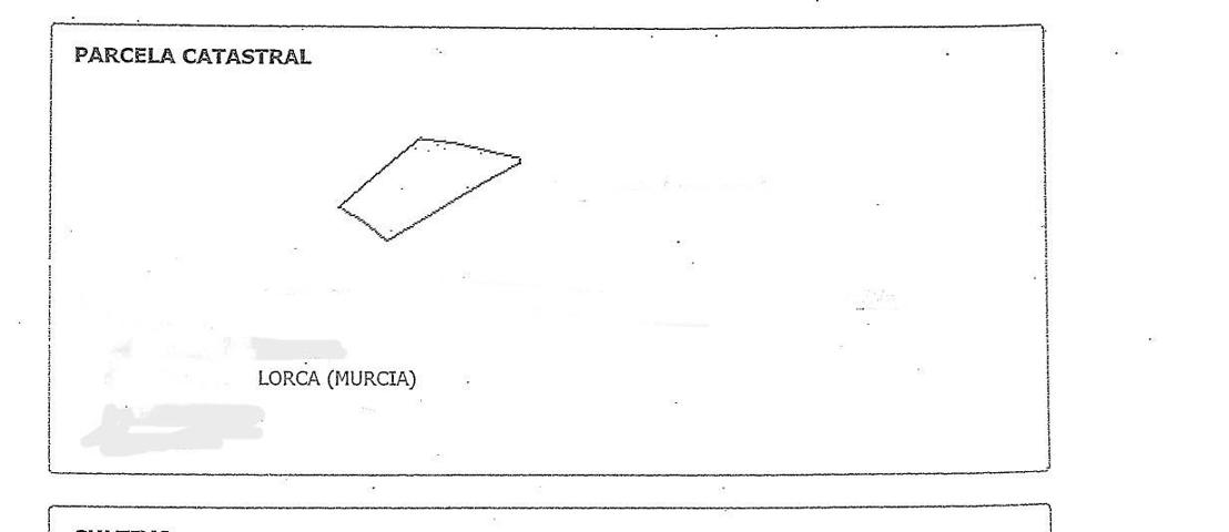 Parcela para construir vivienda unifamiliar en Campillo photo 0