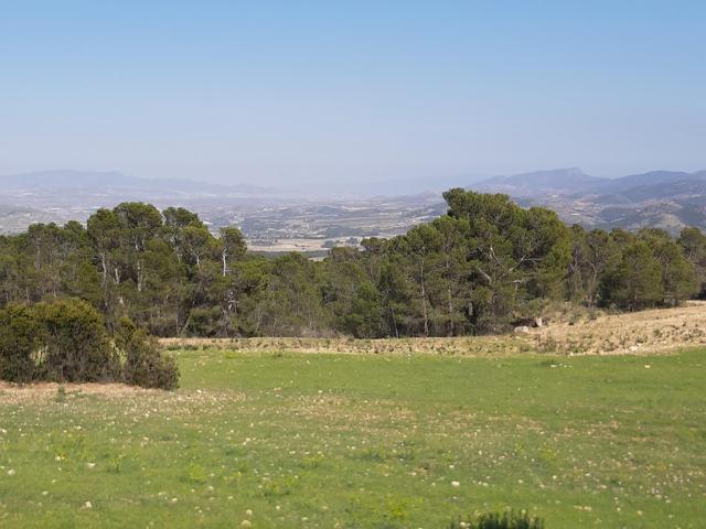 Parcela para construcción de vivienda en La Parroquia, en plena naturaleza photo 0