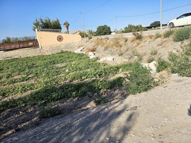 Parcela para edificar vivienda unifamiliar en La Torrecilla photo 0