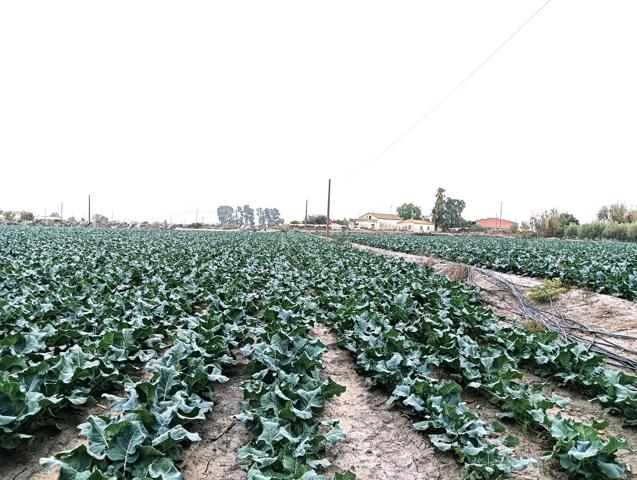 Parcela para construcción de vivienda unifamiliar en La Torrecilla photo 0