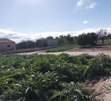 Casa cortijo en ruinas con parcela en Cazalla photo 0