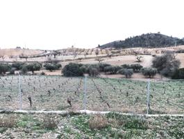 Finca en Los Jarales photo 0