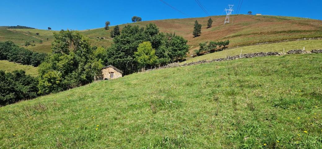 PRECIOSA CABAÑA PASIEGA photo 0