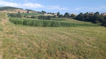 Terreno San Mames de Meruelo photo 0