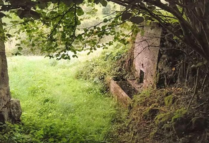 TERRENO EN BARRIO LA CONCHA photo 0