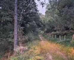 VENTA TERRENO EN MONTE photo 0