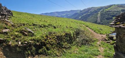 VENTA CABAÑA CON FINCA EN VEGA DE PAS photo 0