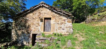 VENTA CABAÑA CON FINCA EN VEGA DE PAS photo 0