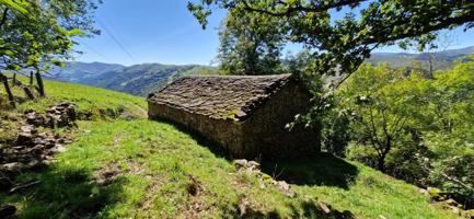 VENTA CABAÑA CON FINCA EN VEGA DE PAS photo 0