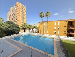 Apartamento en alquiler - Los Cristianos photo 0