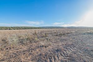 VENTA DE 21.500 M2 DE SUELO INDUSTRIAL EN EL PARQUE METROPOLITRANO DE ESCUZAR (GRANADA) photo 0