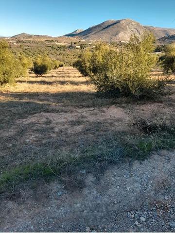 Terreno rústico en Cogollos Vega, con toma de luz y agua en la entrada photo 0