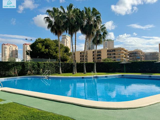 Piso En alquiler en Rincon De La Zofra, El Campello photo 0
