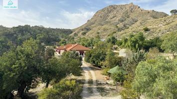 FINCA AUTOSUFICIENTE DE 200.000 M² AISLADA EN PLENA NATURALEZA A 20 KM DE LAS PLAYAS DE ALICANTE photo 0