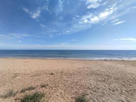 Alquiler Vacacional en La Mata photo 0