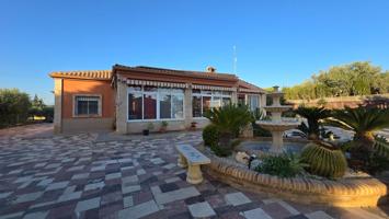 CHALET CON PISCINA A UN PASO DE ELCHE photo 0