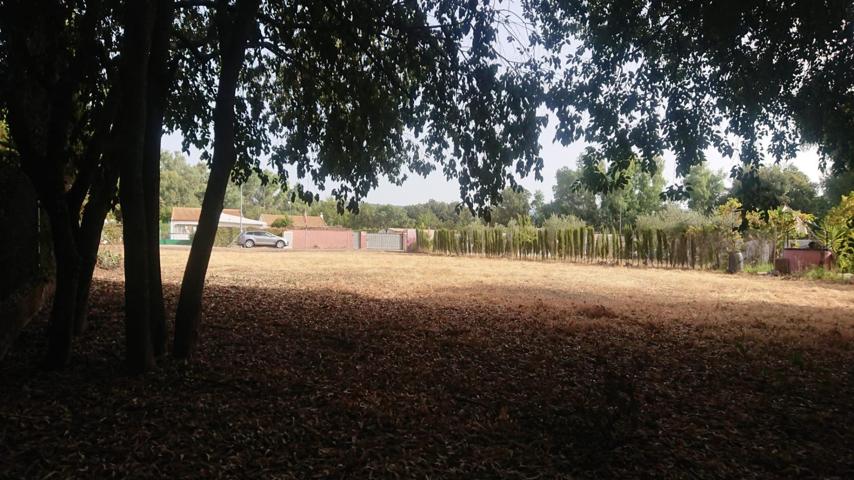 Preciosa parcela en Urbanización El Páramo en Cuevas Bajas. photo 0