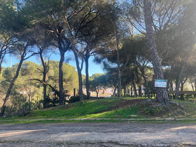 PARCELA EN CERRO MURIANO photo 0